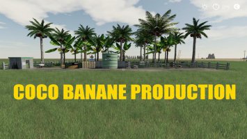 COCO BANANE PRODUCTION FS19