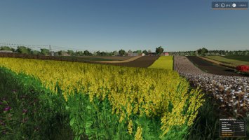 Real crop density USEFUL-THINGS-FS19