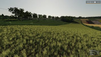 Real crop density USEFUL-THINGS-FS19