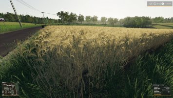 Real crop density USEFUL-THINGS-FS19