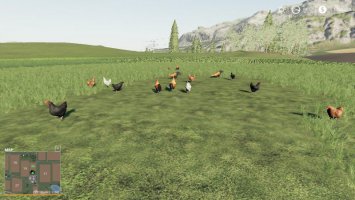 Free Range Chickens FS19