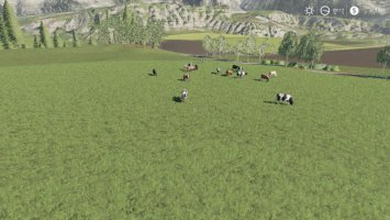 Free Range Cows beta FS19