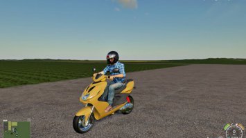 FS19 HELMET FS19