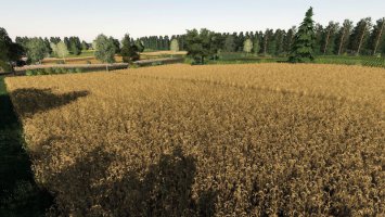 Kurkowo BETA FS19