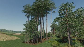 Placeable Forest Area