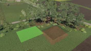Placeable Forest Area FS19