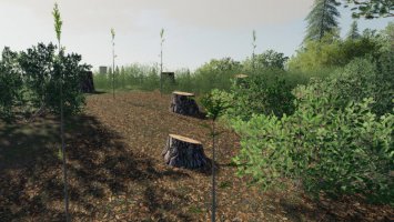 Player Plant Trees FS19