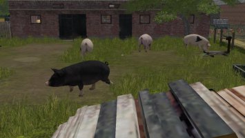 Bockowo 1996 Farming Simulator 17 v1.1 FS17