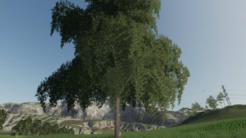 DARK TREES & BUSH TEXTURES FS19