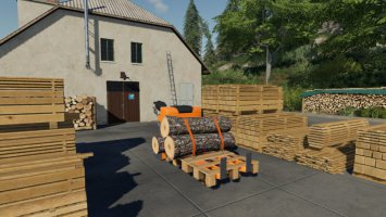 Elektro Hubwagen FS19