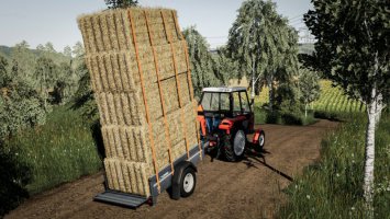 Lizard Pkw Anhänger v1.3 FS19