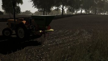 MOTYL NO31M FS19