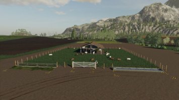 Open Sheep Pasture fs19