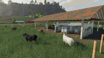 Open Sheep Pasture FS19