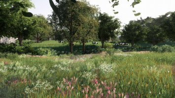 Vieux Bocage v3 fs19