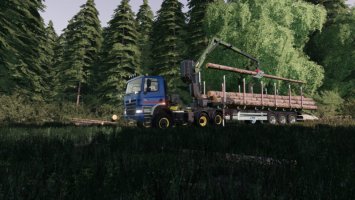 Fliegl Timber-Runner Z-Crane Pack v1.0.1.0 FS19