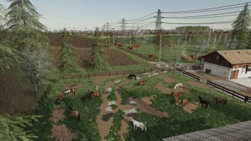 Goliszew V4 FS19