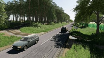 Goliszew V4 FS19