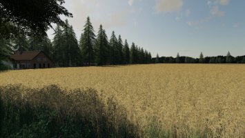 Hollandscheveld Maizeplus Version FS19