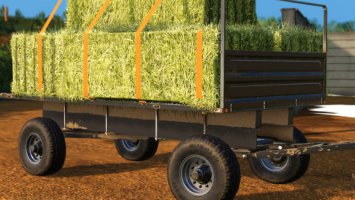 Lizard Metal Trailer FS19