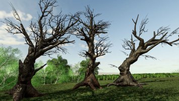 Ancient Tree Pack FS19