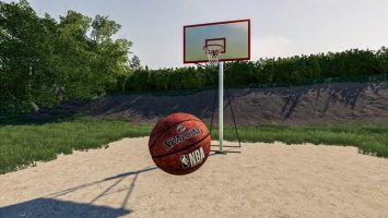 Basket Ball Hoop fs19