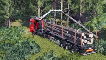 MAN TGX 26.600 Forst FS19