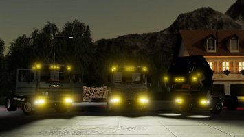 Scania 113H 4X2 FS19