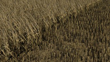 Wheat/Barley FS19