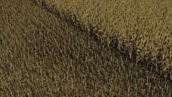 Wheat/Barley FS19
