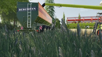 FS19 Bergmann GTW 430 by totti 20 v2.4 FS19