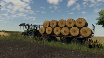 Lizard D838/D848 v1.3 FS19