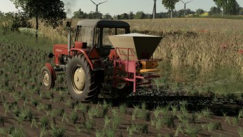 Lizard Motyl FS19