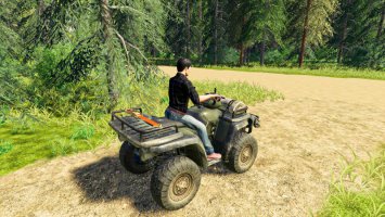 Lizard Quad Bike FS19