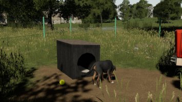 Polnische Hundehütte FS19