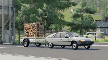 Citroen BX V1.1 FS19