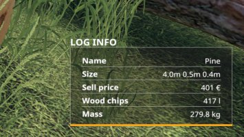 Info Display v1.1 FS19