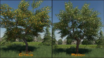 Placeable Fruit Trees Pack FS19
