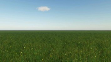 16x One Field Map FS19