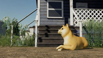 Doge Coin Dog FS19