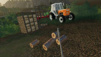 Brennholz FS19