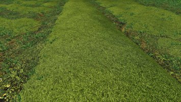 Texture of straw, hay, grass FS19