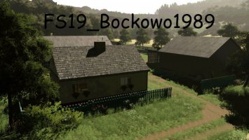 Bockowo 1989 FS19