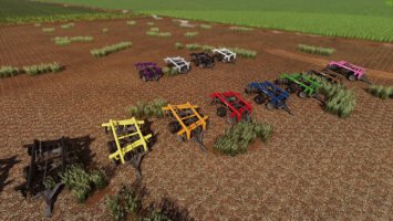 Lizard GTCR FS19