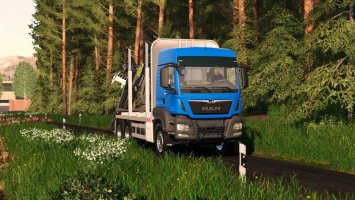 MAN TGS 33.500 Timber fs19