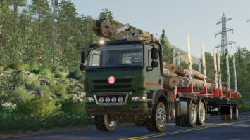 Tatra Phoenix L Crane FS19