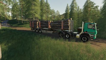 Timber Trailer Info FS19