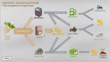 Addon Zuckerrübenernte v1.0.3.0 FS19