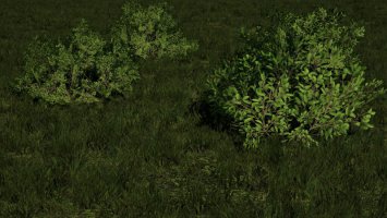 Decorative Bushes fs19