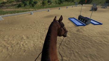 First Person Horse Riding Camera